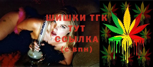 PSILOCYBIN Снежногорск