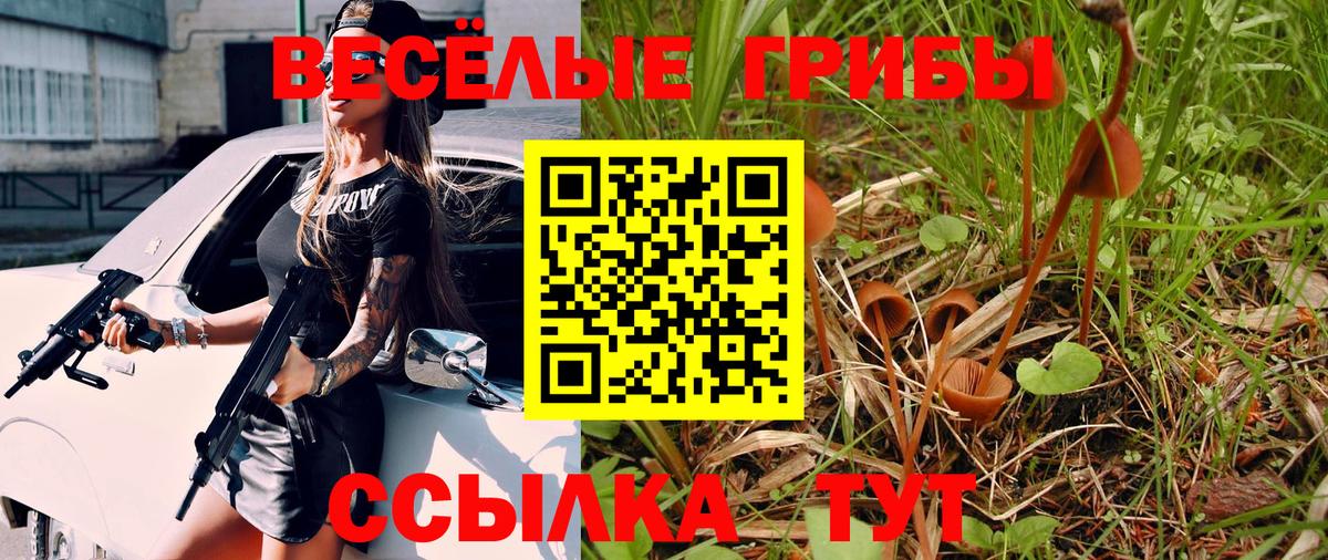 Галлюциногенные грибы Magic Shrooms  наркошоп  Вход с VPN  Первоуральск  Галлюциногенные грибы Psilocybine cubensis 